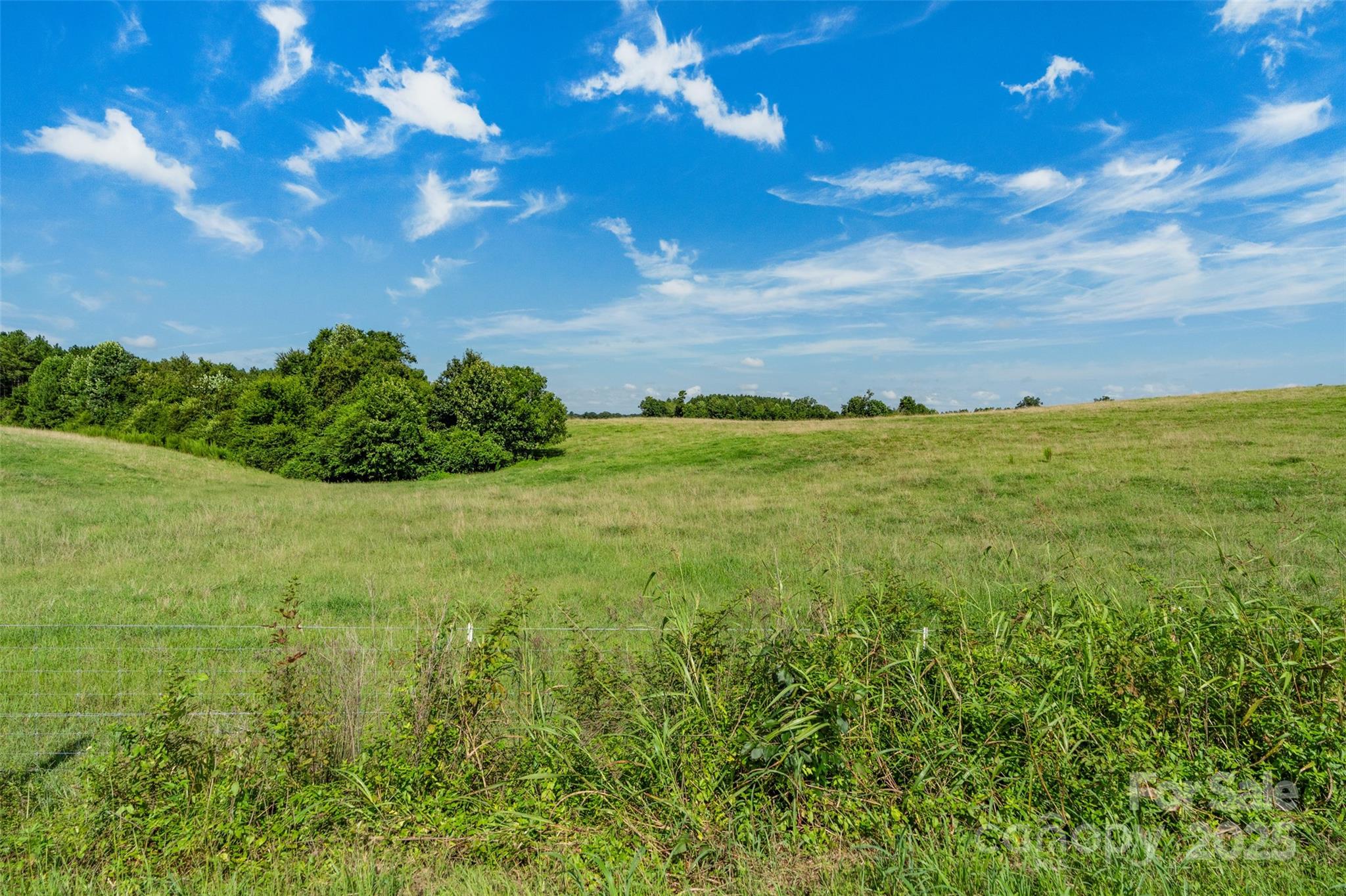 0 Lucy Short Cut Road, Unit B Marshville, NC 28103 - Photo 4 of 43