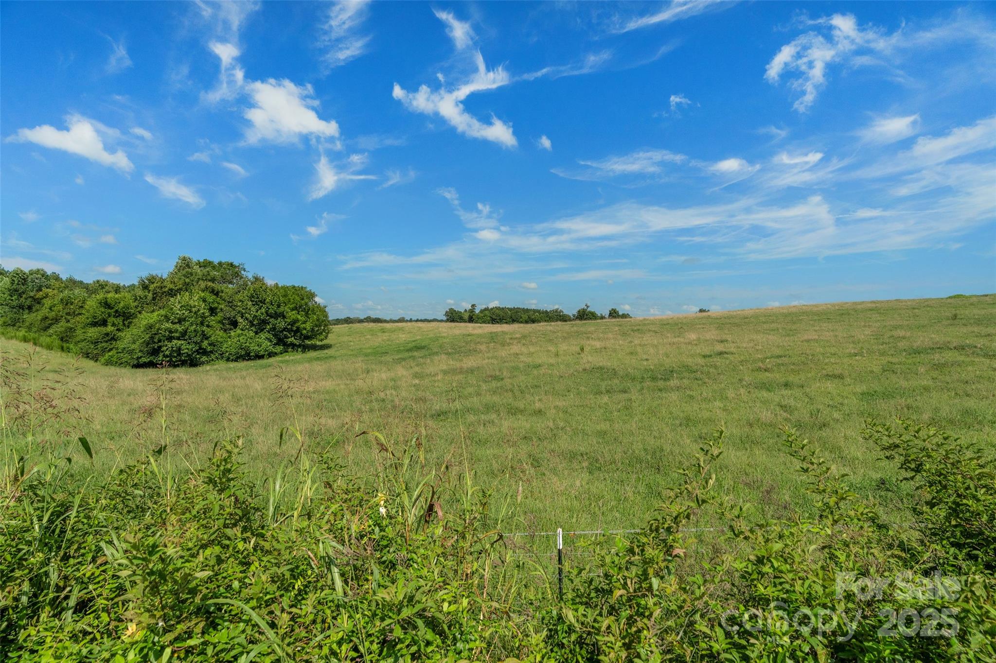 0 Lucy Short Cut Road, Unit B Marshville, NC 28103 - Photo 8 of 43