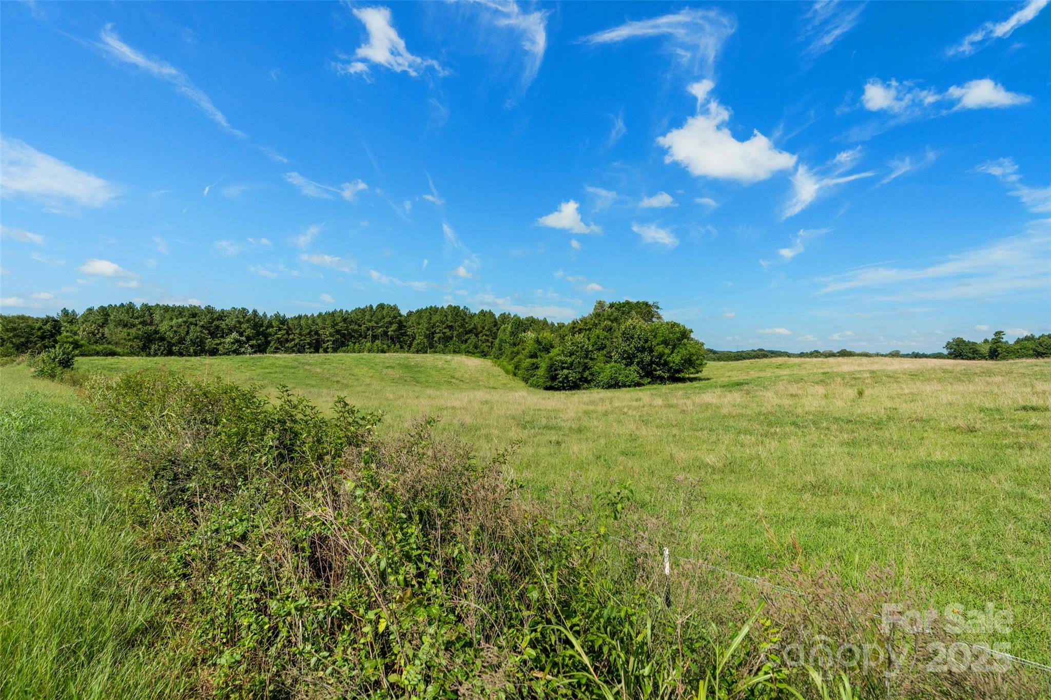 0 Lucy Short Cut Road, Unit B Marshville, NC 28103 - Photo 10 of 43