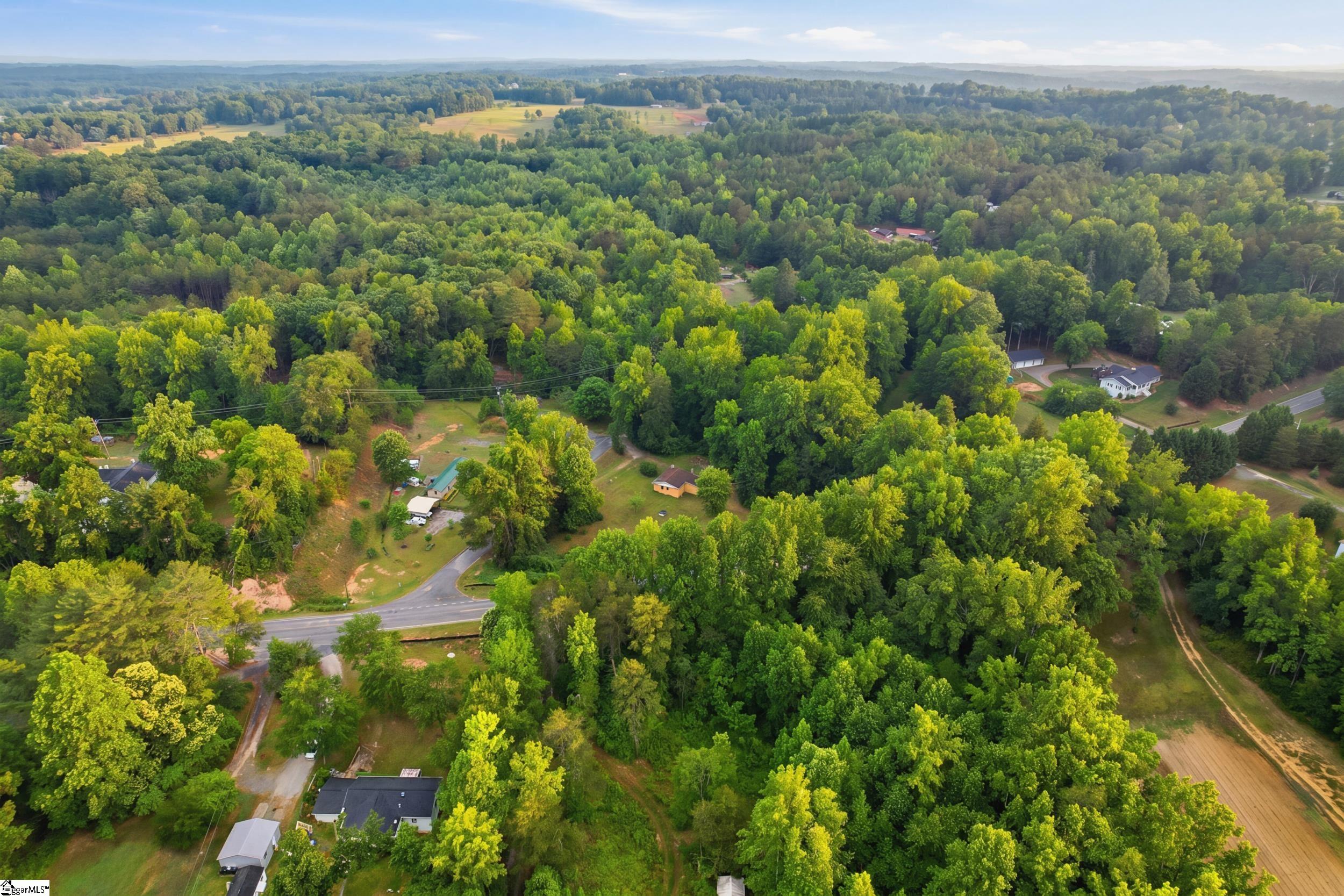 231 State Rd S-42-2985 Landrum, SC 29356 - Photo 28 of 30
