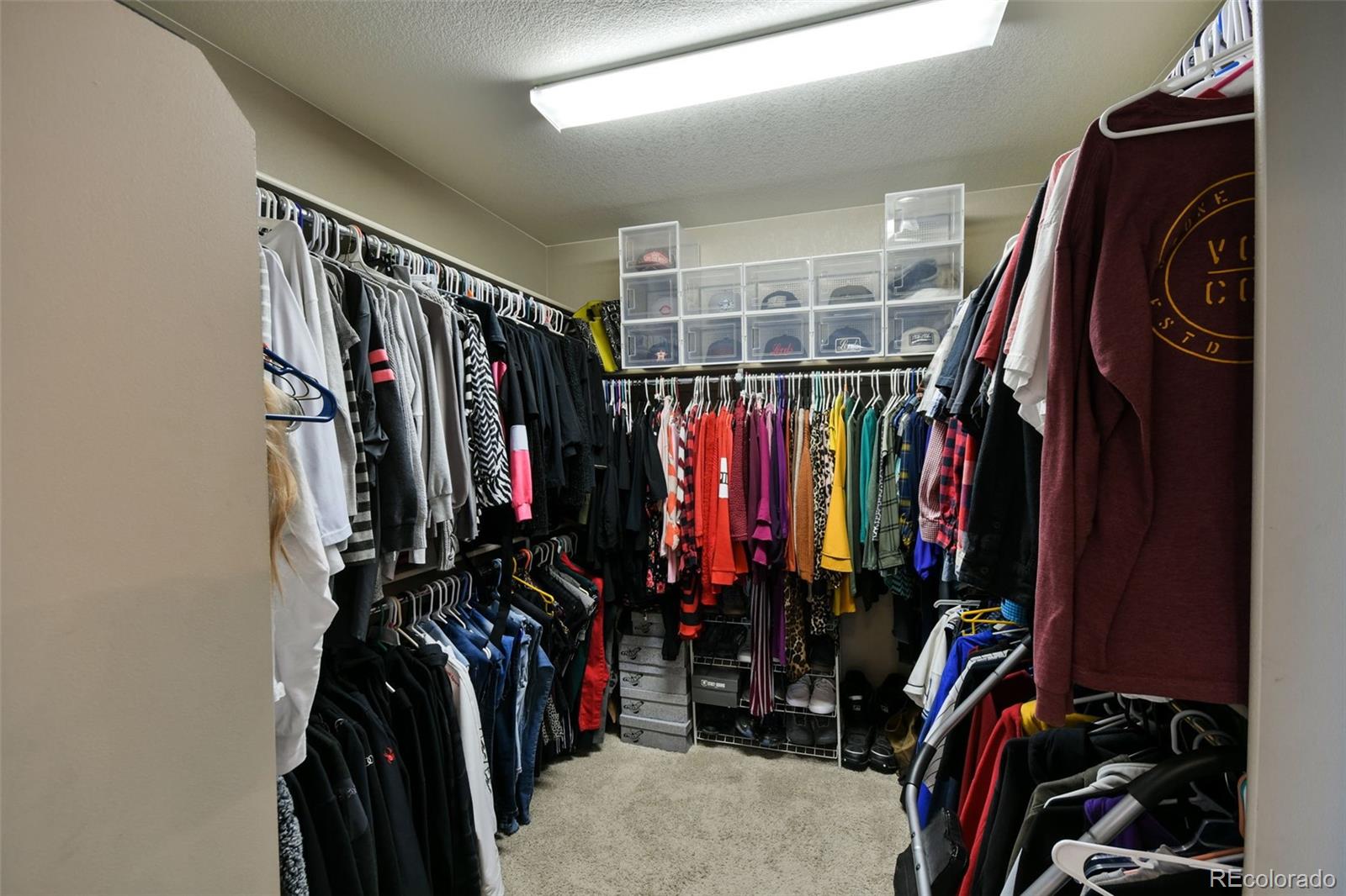 8561 Raspberry Drive Frederick, CO 80504 - Photo 13 of 26