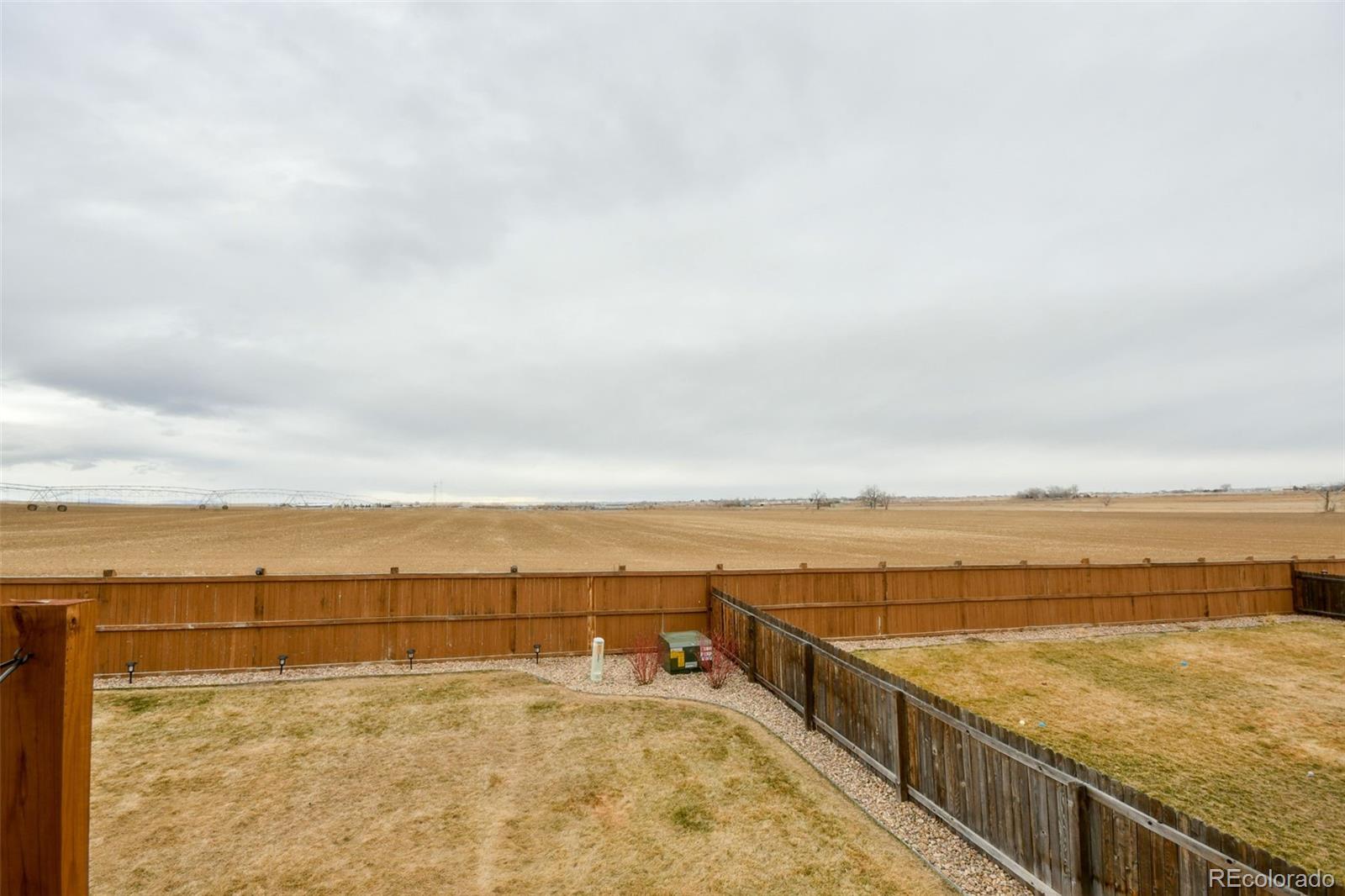 8561 Raspberry Drive Frederick, CO 80504 - Photo 23 of 26