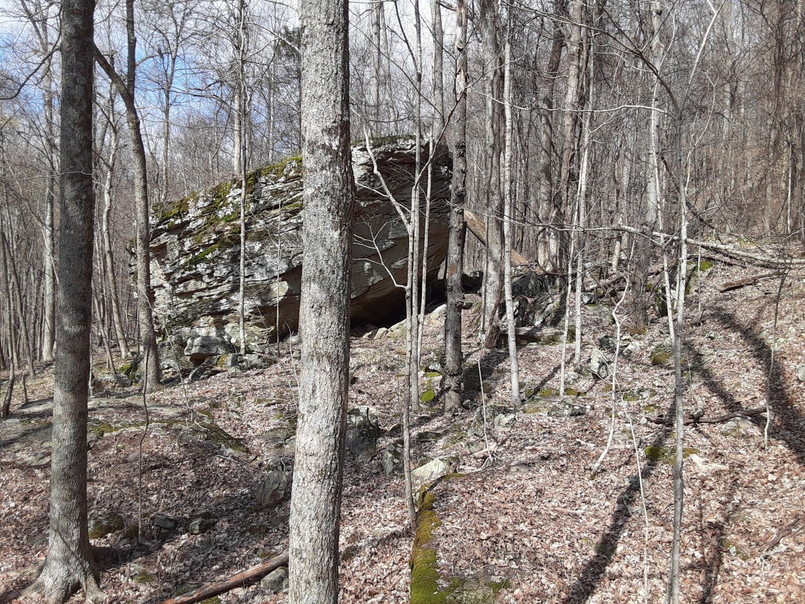 0 Sheep Bluff Road Cookeville, TN 38506 - Photo 3 of 10