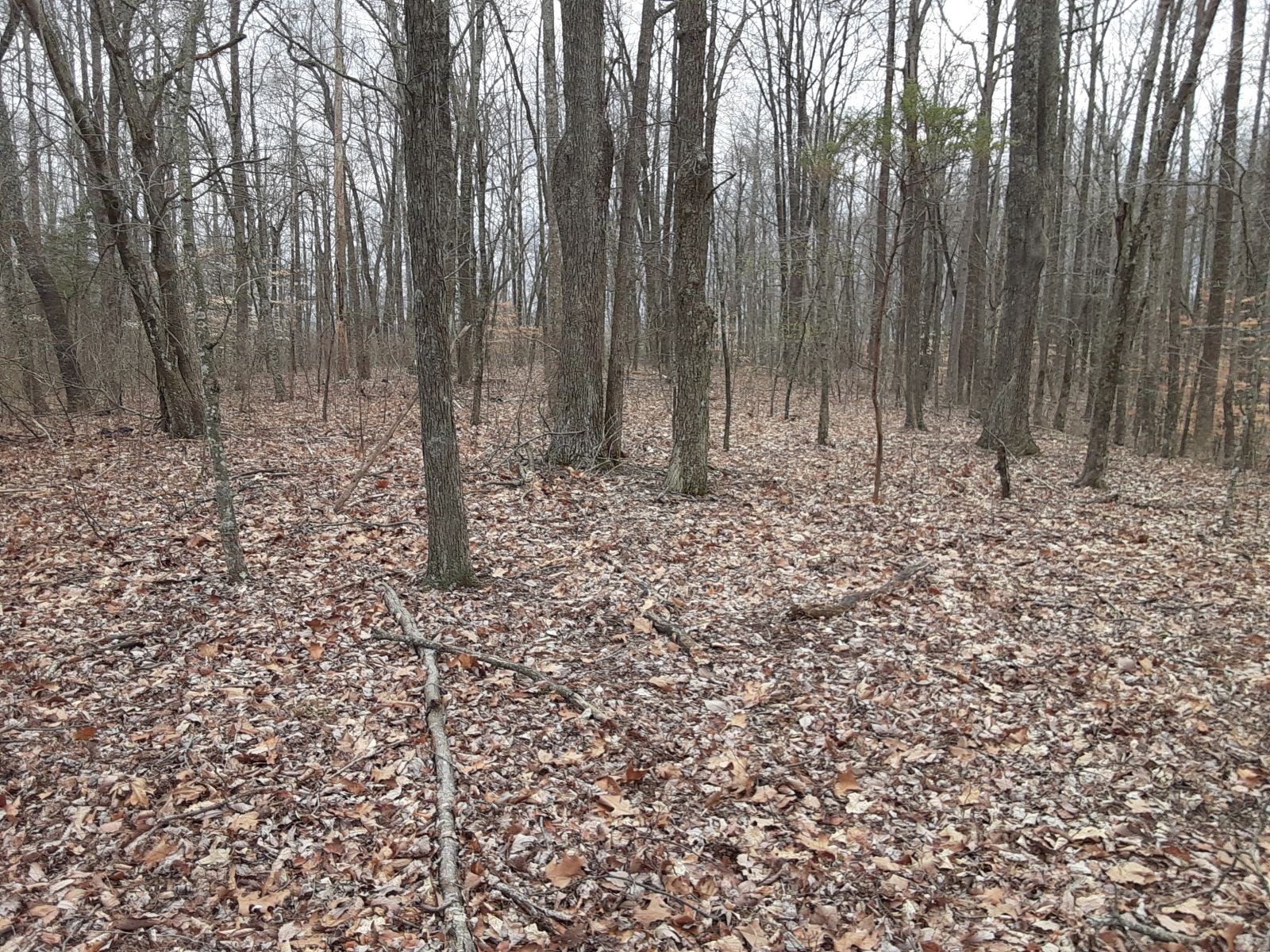0 Sheep Bluff Road Cookeville, TN 38506 - Photo 9 of 10 a view of wooden fence