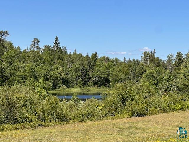 1383 Kelly Trail Isabella, MN 55607 - Photo 24 of 40 Water view featuring a heavily wooded area