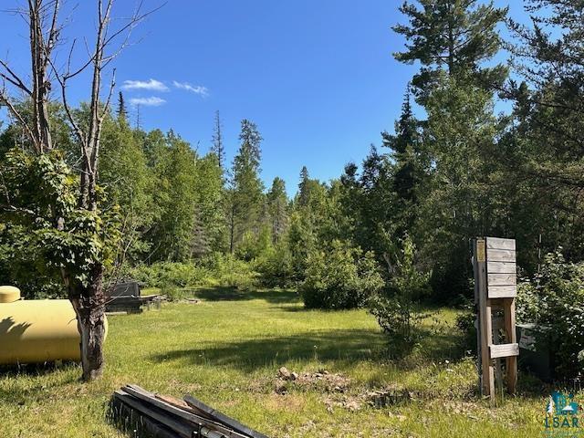 1383 Kelly Trail Isabella, MN 55607 - Photo 29 of 40 View of green lawn with a wooded view