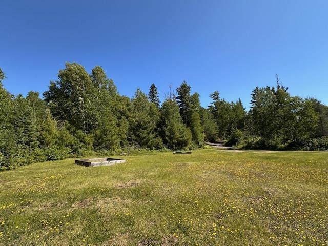 1383 Kelly Trail Isabella, MN 55607 - Photo 32 of 40 View of yard featuring a forest view