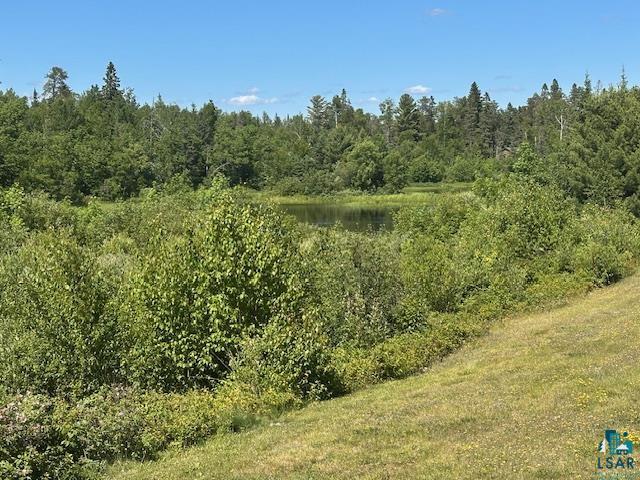 1383 Kelly Trail Isabella, MN 55607 - Photo 36 of 40 View of tree filled area with a water view