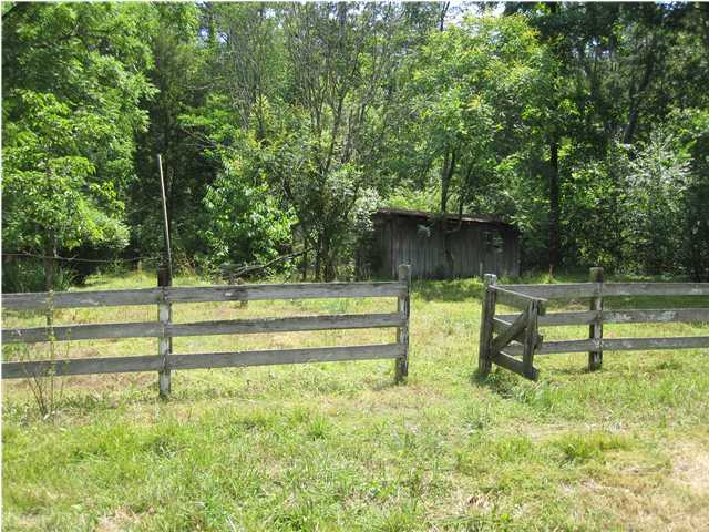 7443 Runyan Road Georgetown, TN 37336 - Photo 14 of 15 Additional Photo