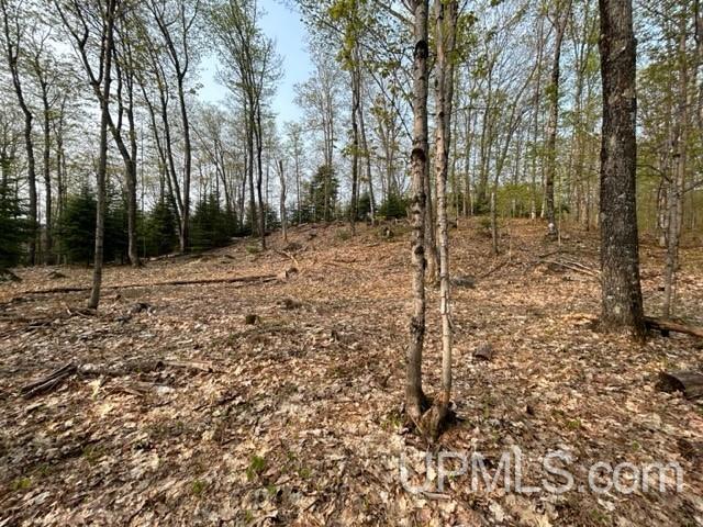 8 Old Co Road Negaunee, MI 49866 - Photo 9 of 14