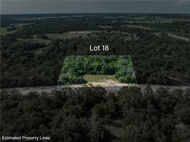 a view of a lush green forest with lots of trees
