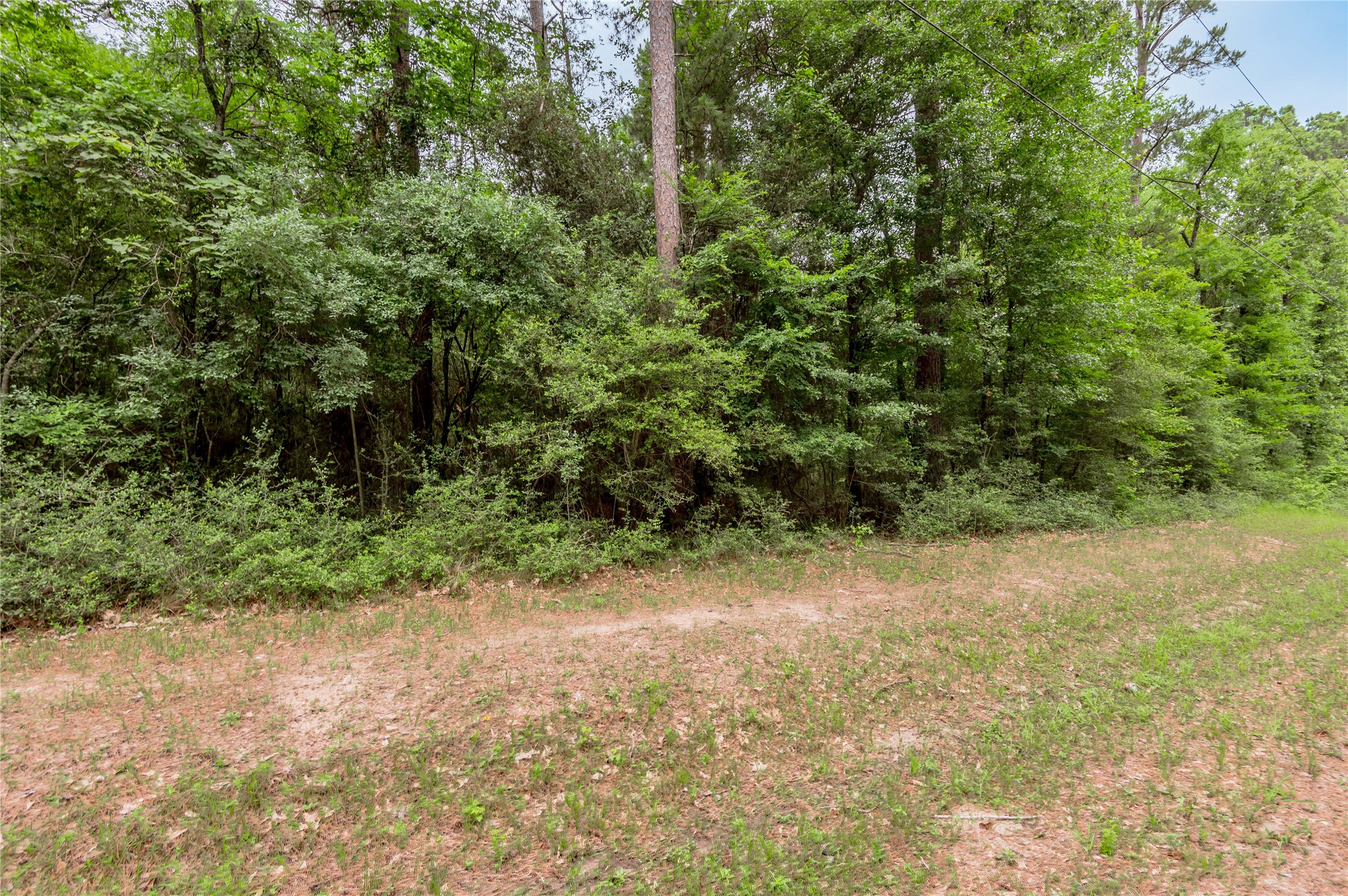 Lot 07 Oak Drive Trinity, TX 75862 - Photo 9 of 36