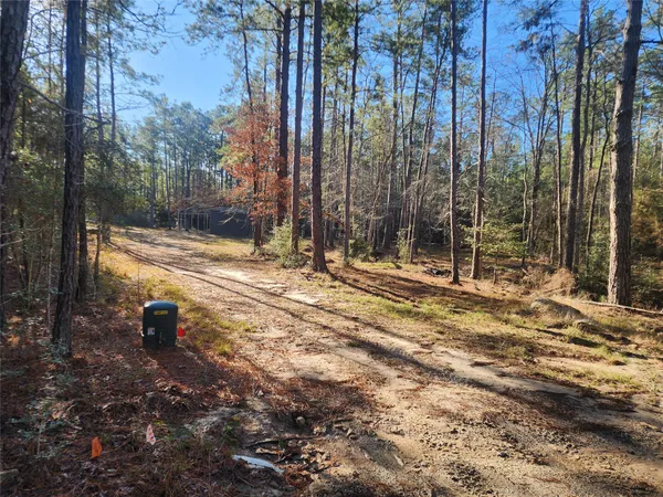 $25,000 | 265 Sweetgum Drive, Brookeland, TX 75931