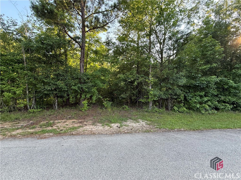 10 Cunningham Road Union Point, GA 30669 - Photo 8 of 8