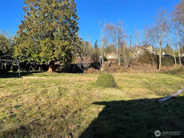 a view of a yard with an trees