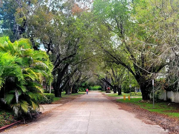 a view of a street with large trees