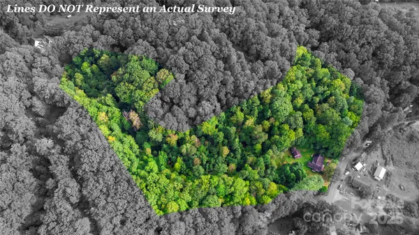 a picture of plants