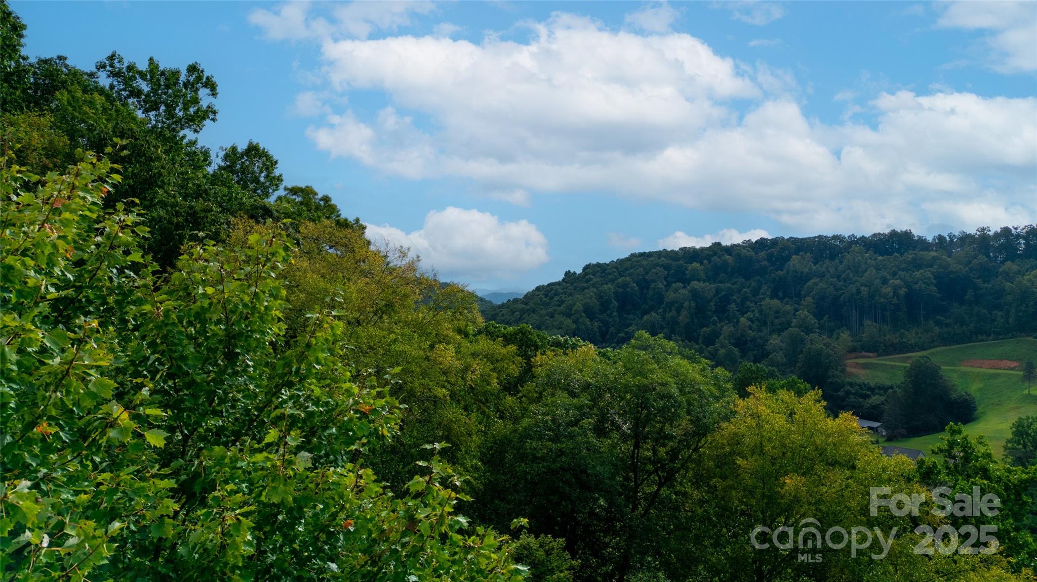 0 Cabin Flats Road Sylva, NC 28779 - Photo 11 of 12 a view of a lake and green space