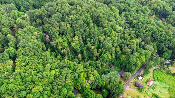 a view of a lush green space