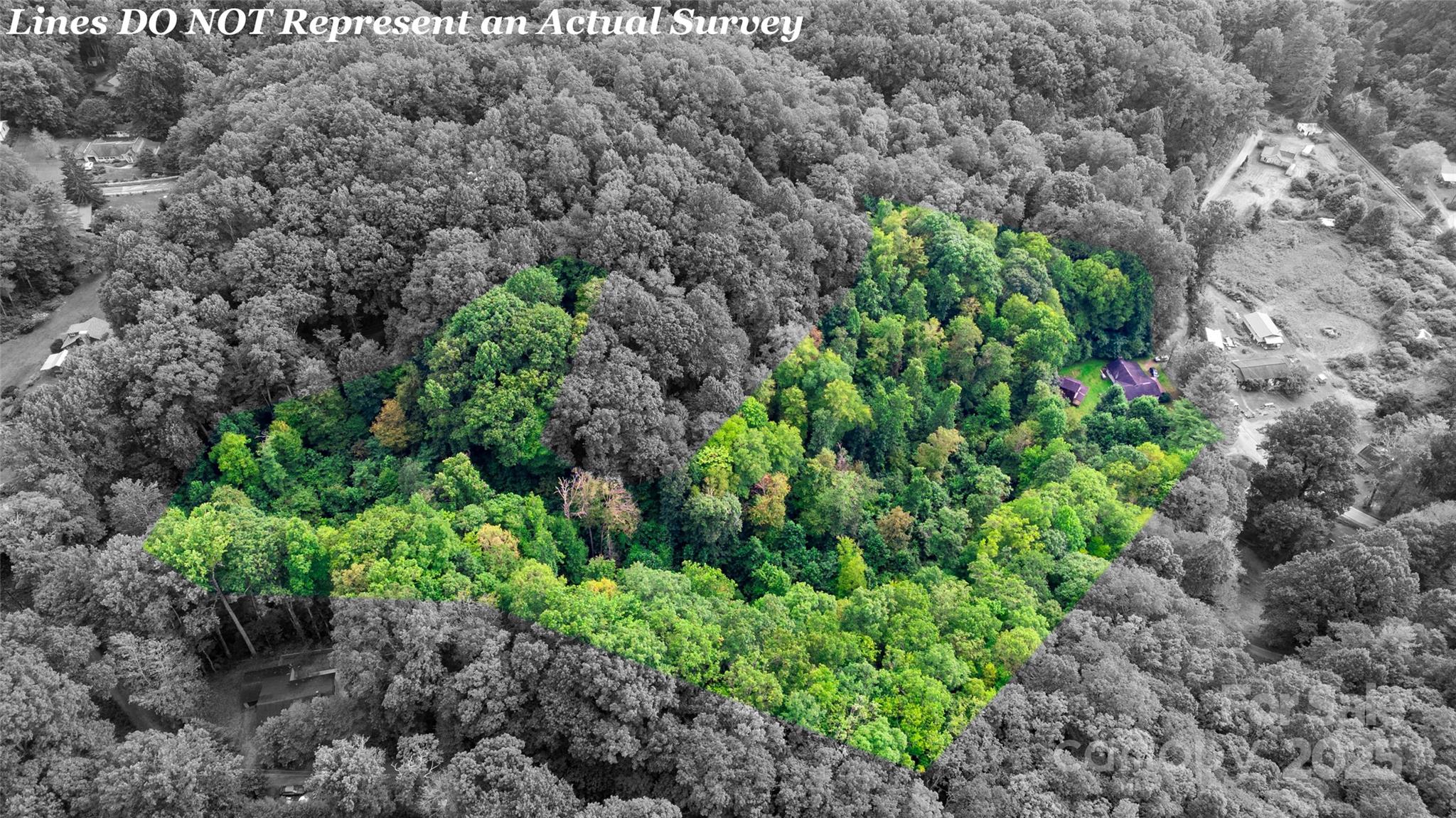 0 Cabin Flats Road Sylva, NC 28779 - Photo 7 of 12 a plant that is in a garden