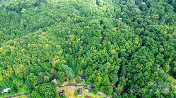 a view of a lush green forest