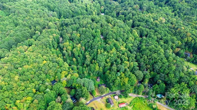a view of a lake and green space