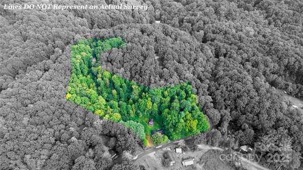 a view of a lush green mountain in the distance in a forest