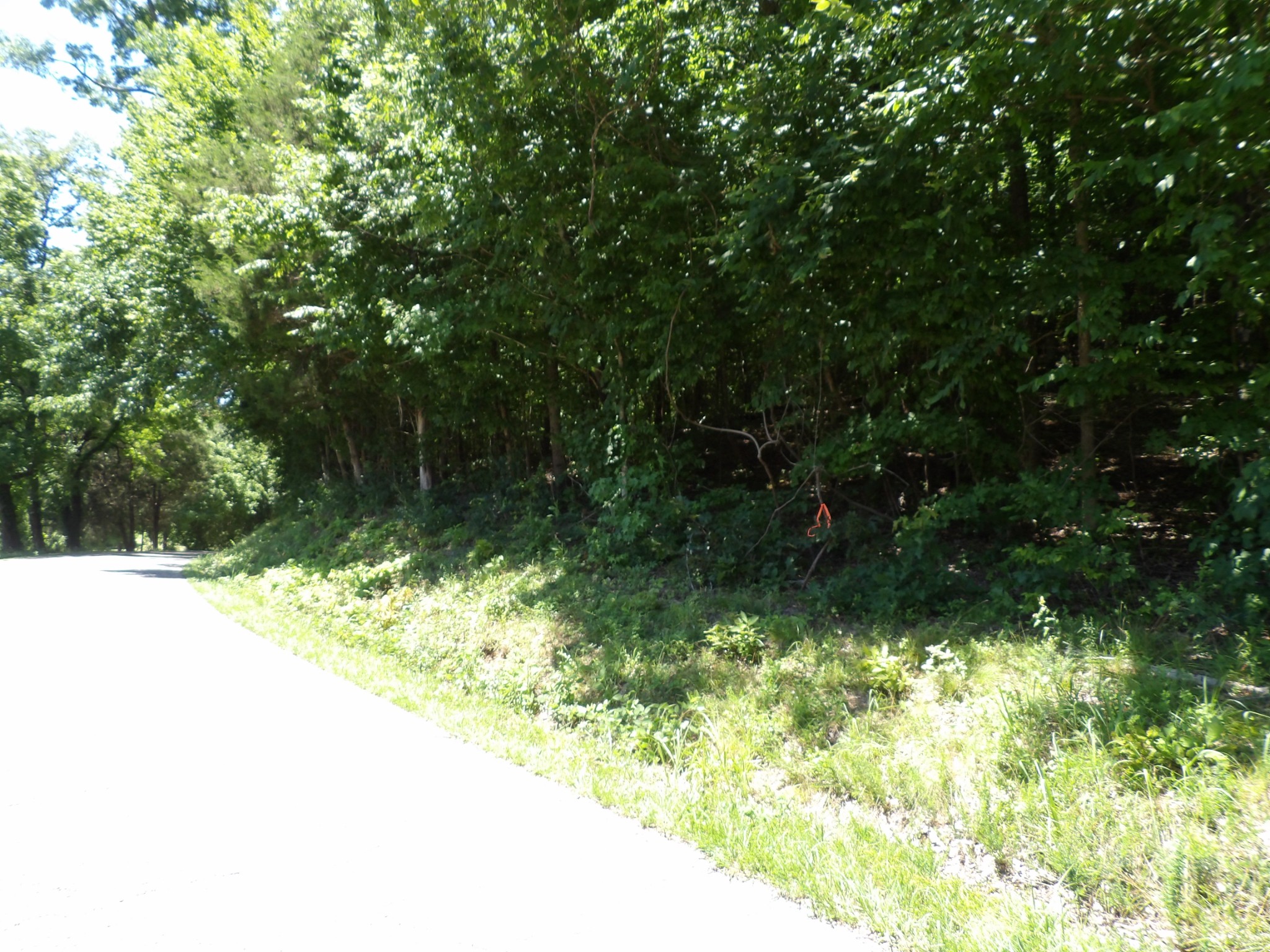 587 West Little Richland Road Waverly, TN 37185 - Photo 25 of 26