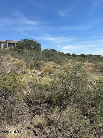 a view of a dry field with lots of trees in the background