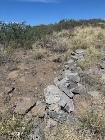 a view of a forest with mountains in the background