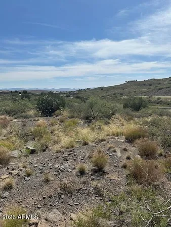 a view of a field with an ocean