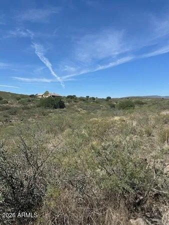 a view of a bunch of trees in a field