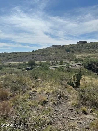 a view of a forest with trees in the background