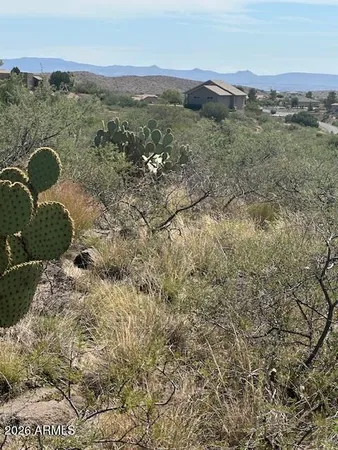 a view of a sky from a yard