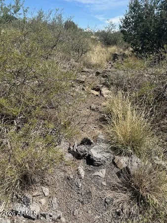 a view of a dry field with mountains in the background