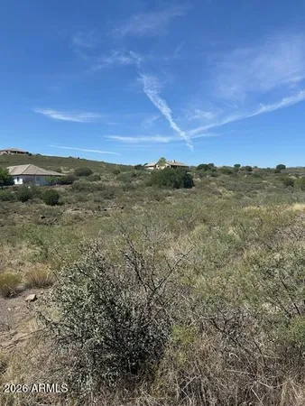 a view of a field with trees in background