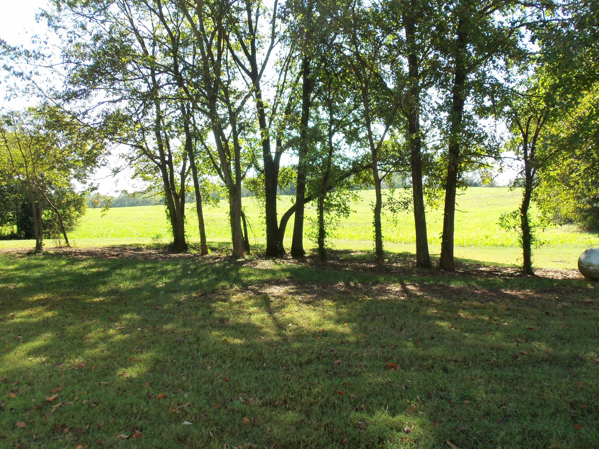 2960 Rossview Road Clarksville, TN 37043 - Photo 23 of 26 a view of yard with trees