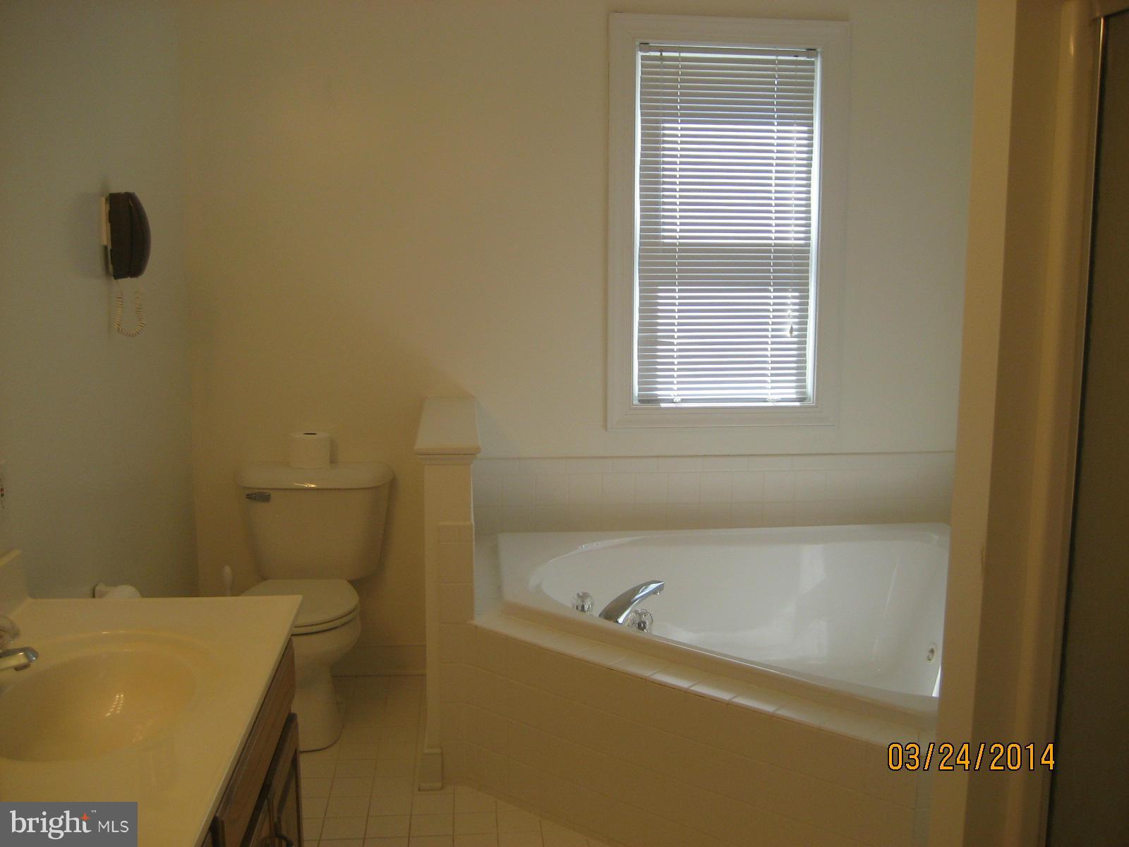 2114 Country Road Beaverdam, VA 23015 - Photo 14 of 30 Bath (Master)