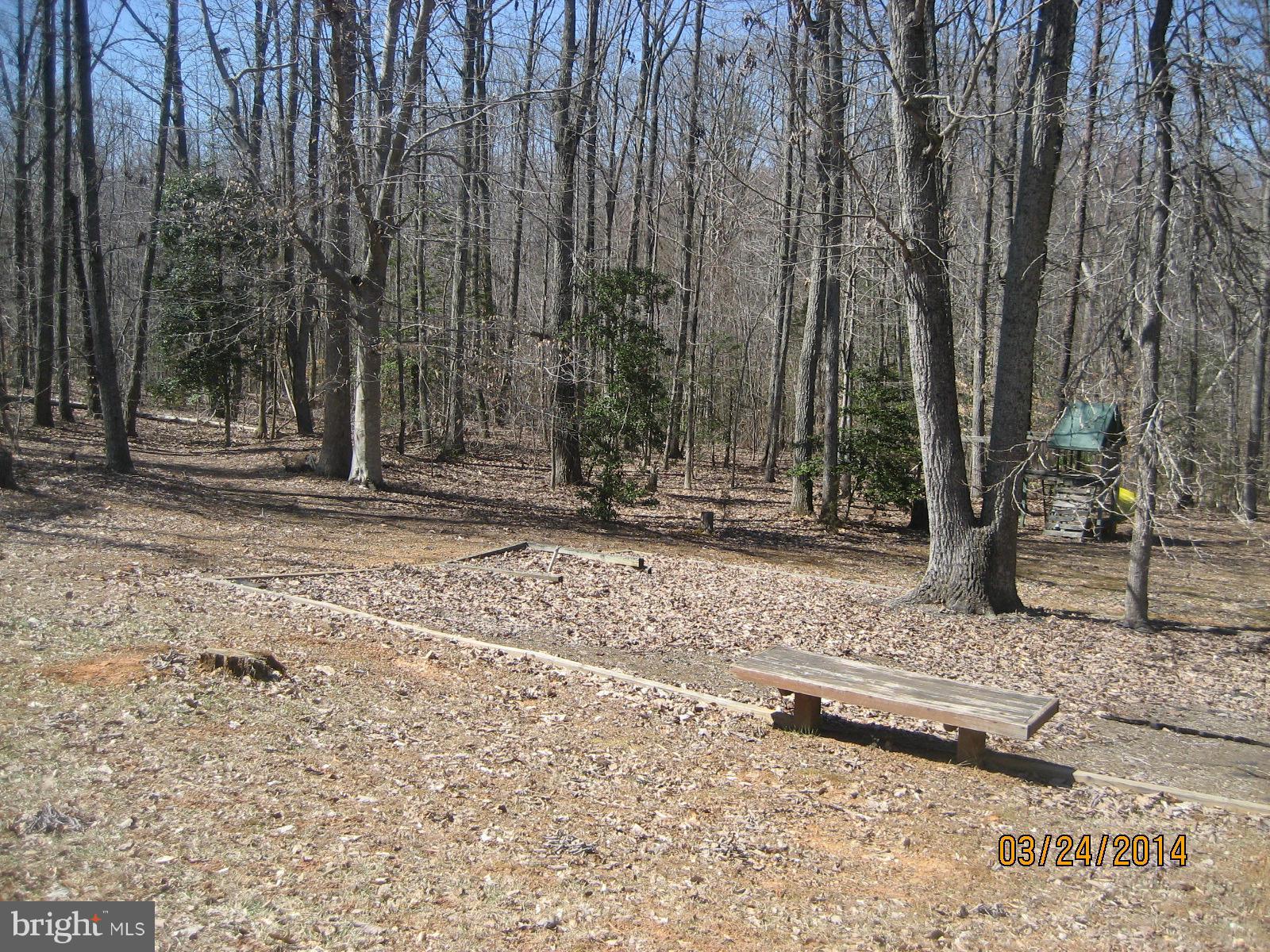 2114 Country Road Beaverdam, VA 23015 - Photo 23 of 30 Exterior (Rear)