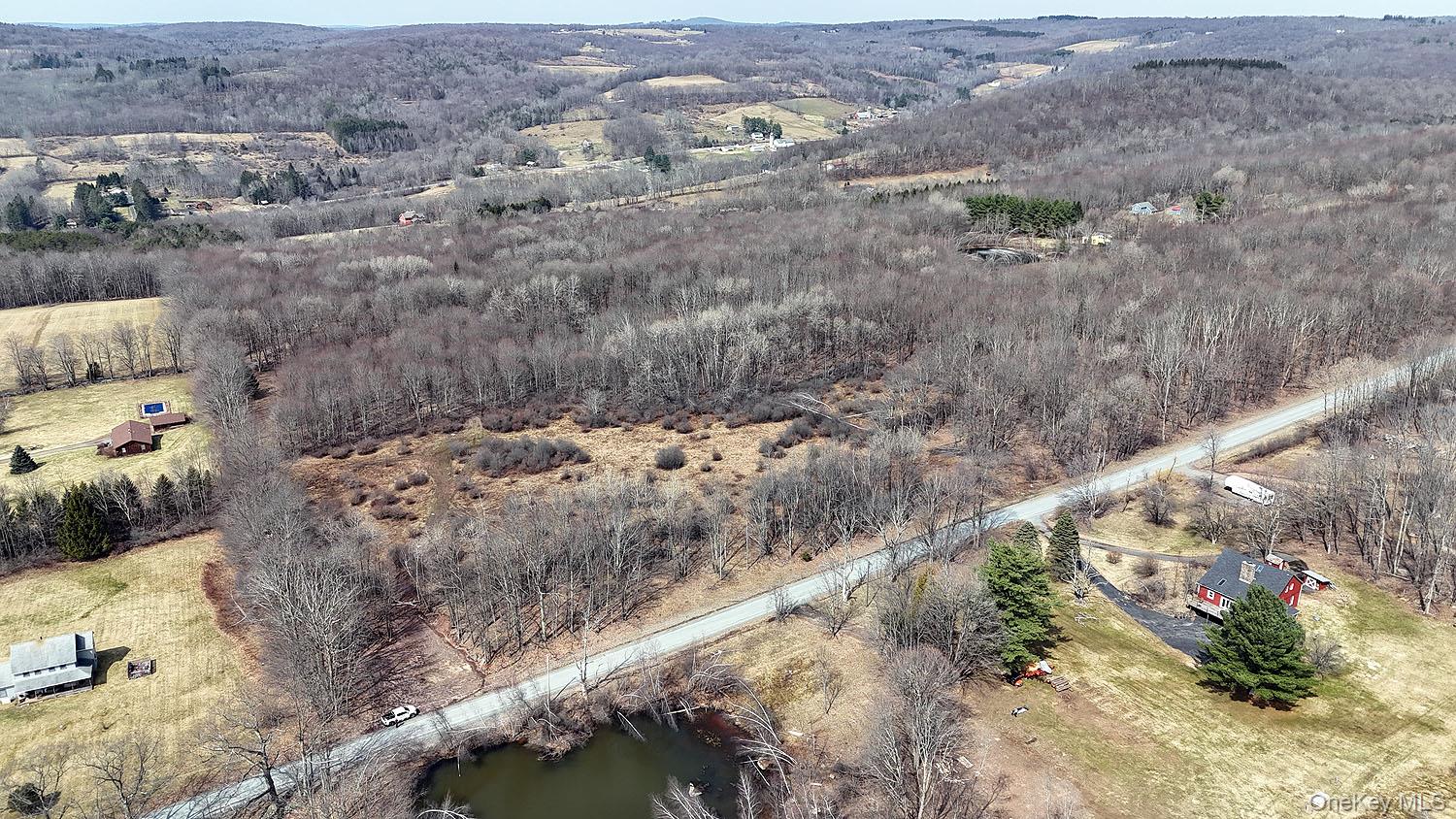 0 Menges Road Livingston Manor, NY 12791 - Photo 11 of 35