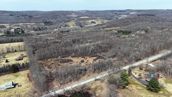 a view of a dry yard with green space