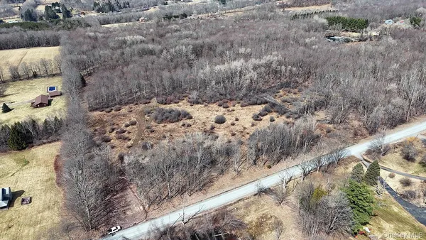 a view of a dry yard with trees
