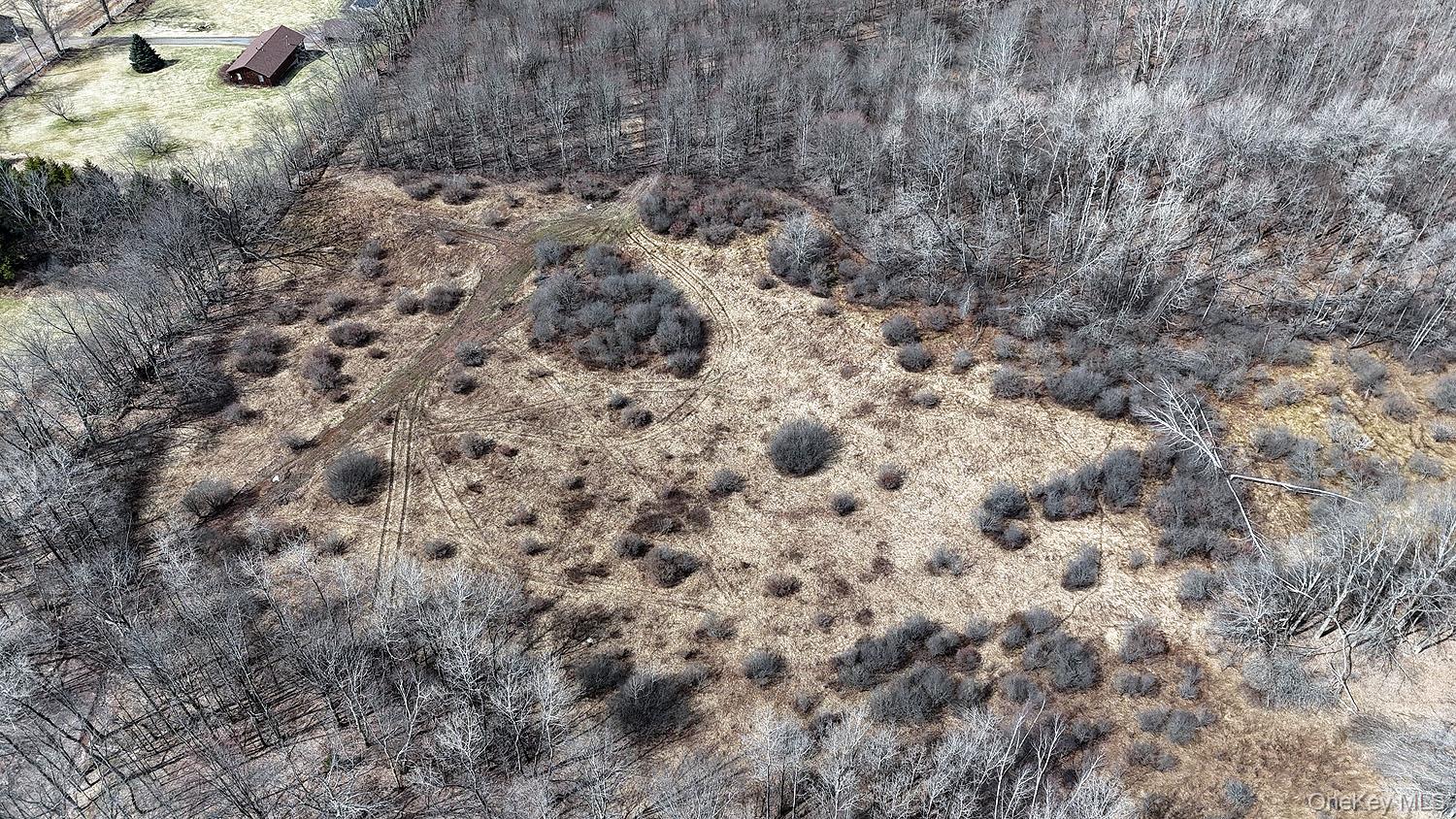 0 Menges Road Livingston Manor, NY 12791 - Photo 14 of 35