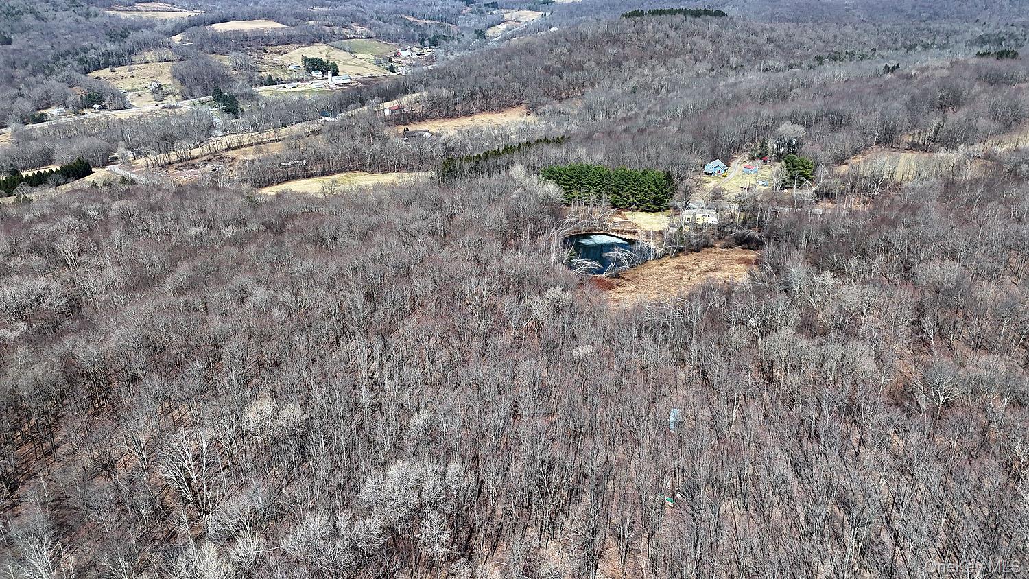 0 Menges Road Livingston Manor, NY 12791 - Photo 15 of 35