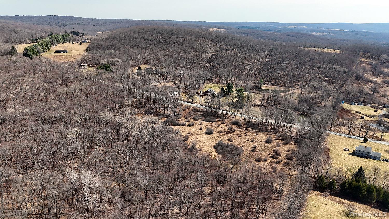 0 Menges Road Livingston Manor, NY 12791 - Photo 16 of 35