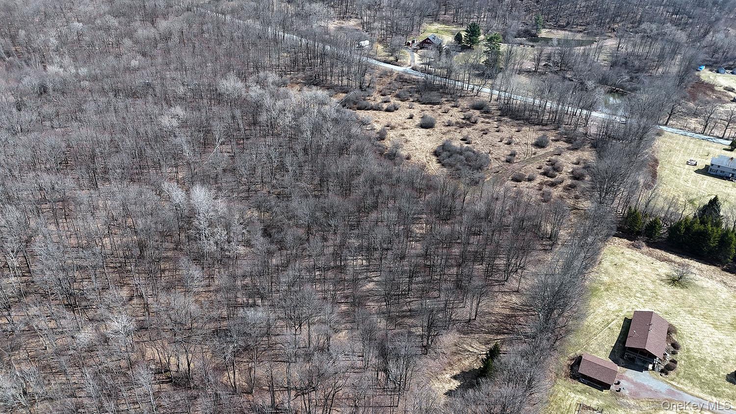 0 Menges Road Livingston Manor, NY 12791 - Photo 17 of 35