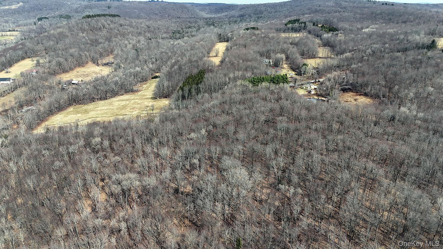 0 Menges Road Livingston Manor, NY 12791 - Photo 18 of 35