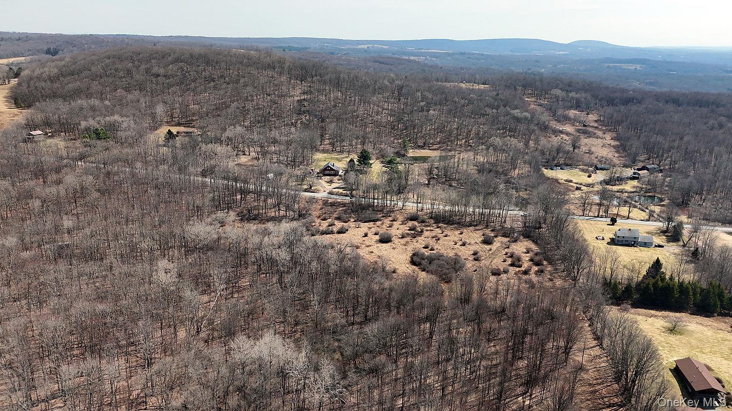 0 Menges Road Livingston Manor, NY 12791 - Photo 19 of 35