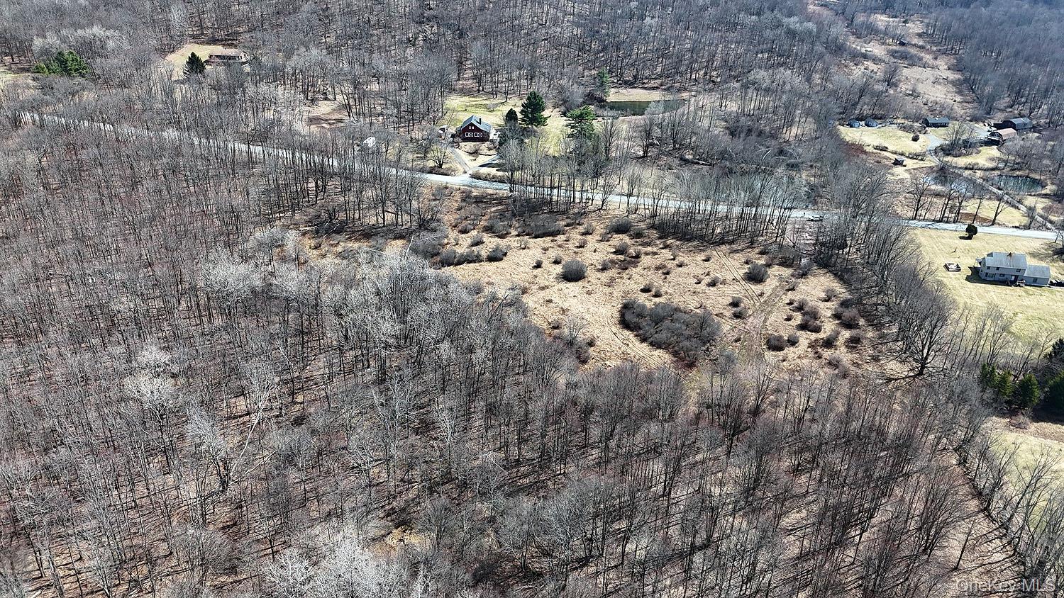 0 Menges Road Livingston Manor, NY 12791 - Photo 20 of 35