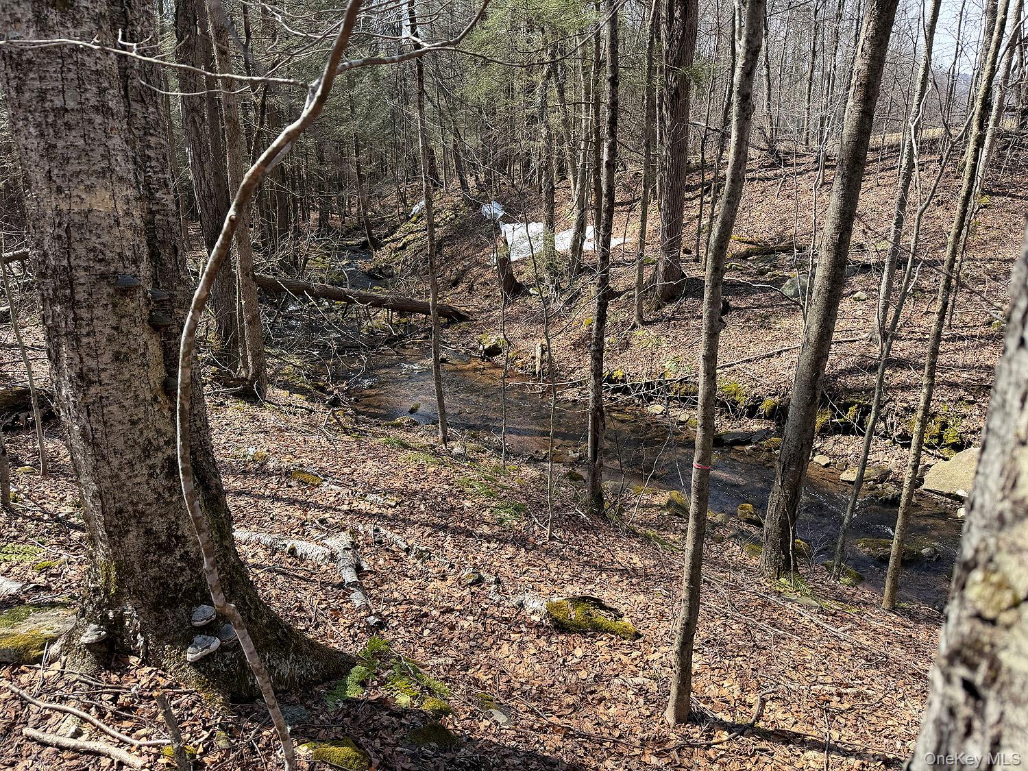 0 Menges Road Livingston Manor, NY 12791 - Photo 2 of 35